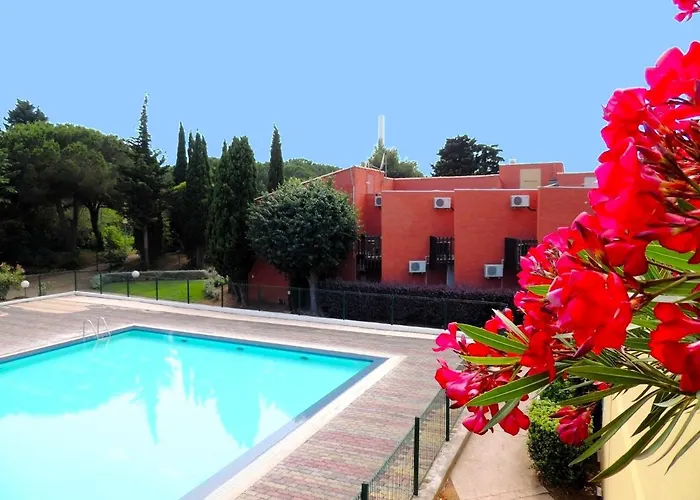 Tennis International